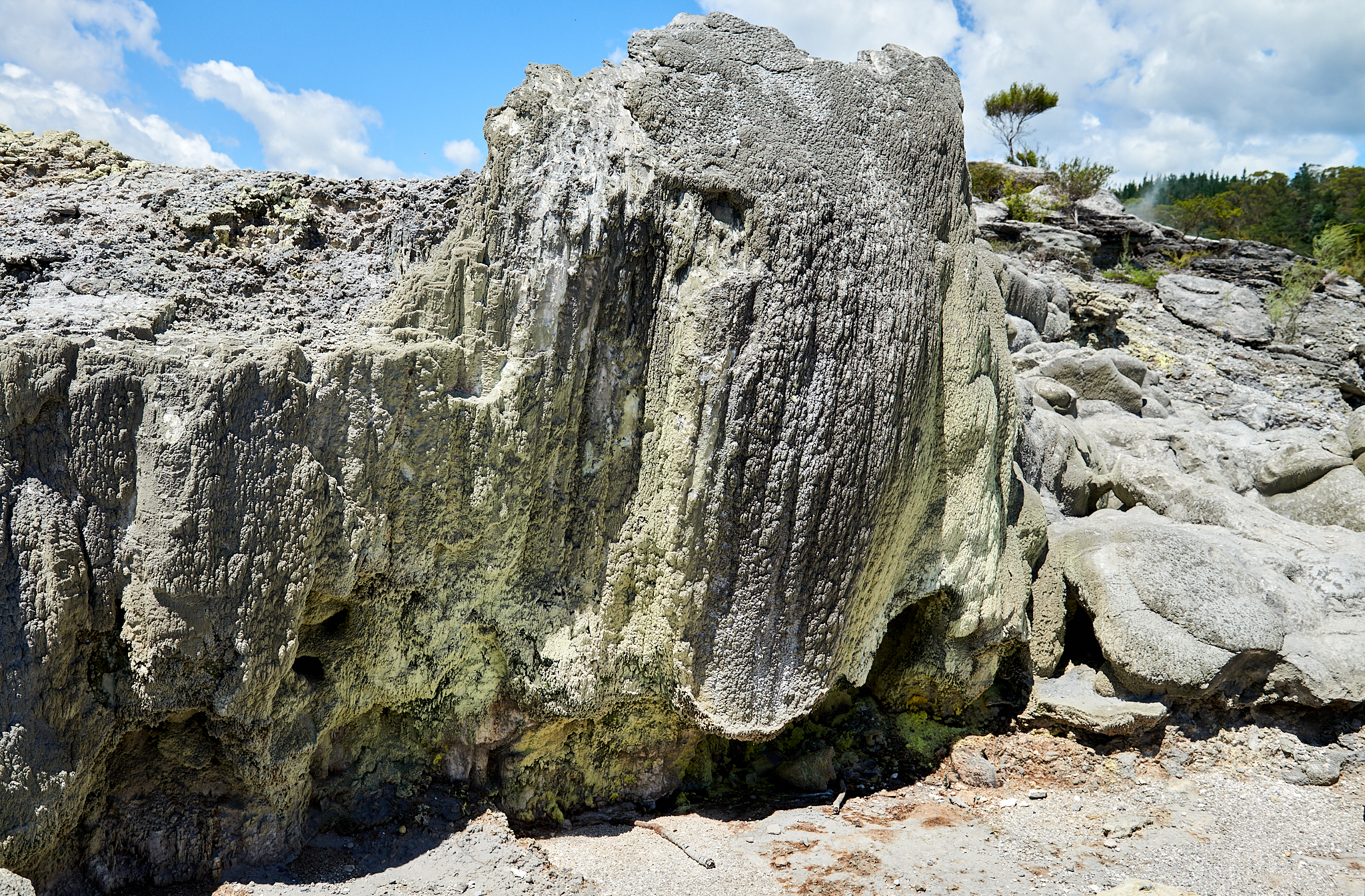 20180129 154 뉴질랜드 포후투